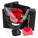 ソープフラワー 花束 そのまま飾れる 誕生日 ギフト シャボンフラワー 薔薇 ブーケ 花 退職 プレゼント 女性 人気 卒業式 送別品 送別会 記念品 母の日 父の日 結婚 還暦 プロポーズ 新築 古