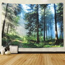 Pknoclan 森の光 タペストリー 木 自然風景 大判 壁掛け 風景画タペストリー 新緑の並木 多機能壁掛け モダンなアート 布ポスター 模様替え 部屋 窓...