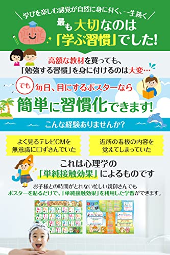 アルファベット表 ABC お風呂ポスター 知育玩具 ルーティン博士の学習塾 【学ぶ習慣が身に付く！シリーズ】（2枚セット）
