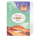 【薬剤師が推薦】 足裏サウナシート ビサミン 遠赤外線 放射素材 コスモビサ 配合 天然樹液シート 貼って寝るだけで 足裏発汗 ラベンダー ミント の香り 7組 14枚入り 日本製