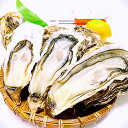 かきや no kakiya 三陸産 大粒 殻付き生かき ( 10個セット / 牡蠣むきナイフ + レモン + 軍手 付き / 生食用 )