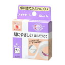 【ニチバン】ニチバン スキナゲート 12mm×7m ×10個セット