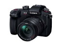 パナソニック(Panasonic) ミラーレス一眼カメラ ルミックス GH5M2 レンズキット 高倍率ズームレンズ付属 ブラック DC-GH5M2H