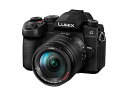 パナソニック (Panasonic) ミラーレス一眼カメラ LIMIX 高倍率ズームレンズキット DC-G99M2H