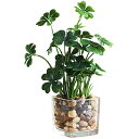 Chocople 観葉植物 フェイク フェイクグリーン 造花 インテリア (四葉のクローバー)