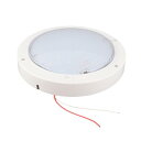 DC12-24V 電力9W LED光源 高輝度 車内照明灯 直径220mm 840μm 42pcsチップ 低電圧照明 オフィス ホテル ショッピングモール 船舶 車両 キャビネット改造ライト 車用品(ウ 車用天井ライト LED ドームラ