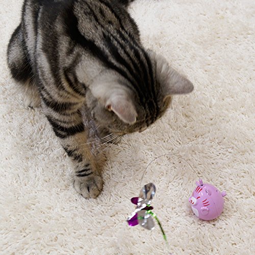 キャティーマン (CattyMan) じゃれ猫 くるころキャッチ [3]