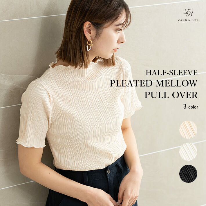 【SALE50%OFF】ハーフスリーブプリーツメロウプルオーバー【レディース トップス Tシャツ 半袖 プリーツ メロウ カットソー プルオーバー インナー シンプル きれいめ おしゃれ カジュアル 大人 トラベル 旅行 バケーション 】のサムネイル