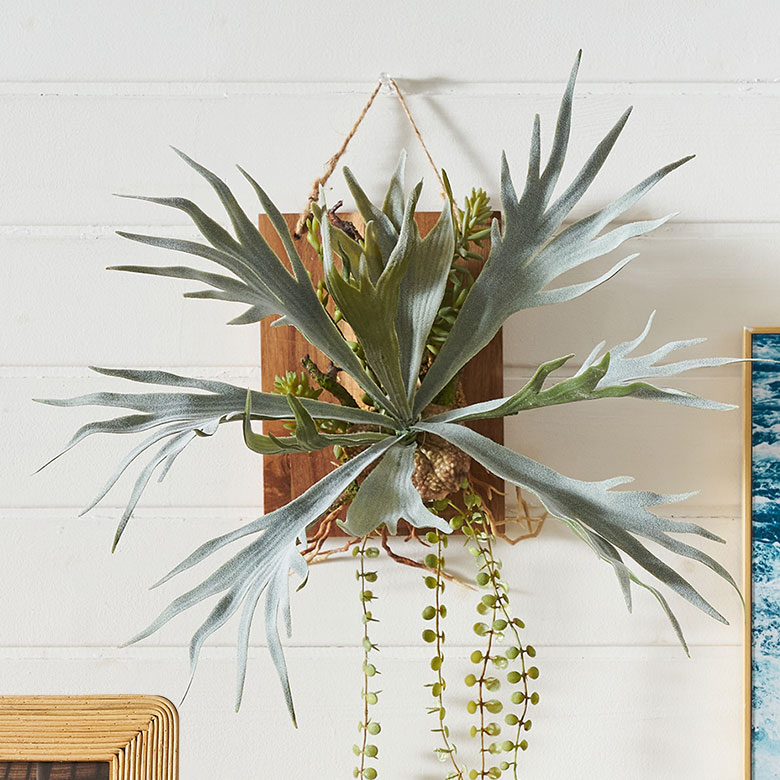 【最大2000円クーポン】 フェイクグリーン ウォールハンギング ビカクシダ アカシア 木製 ウォールアート ハンキング 吊り下げ 壁掛け アーティフィシャルプ...