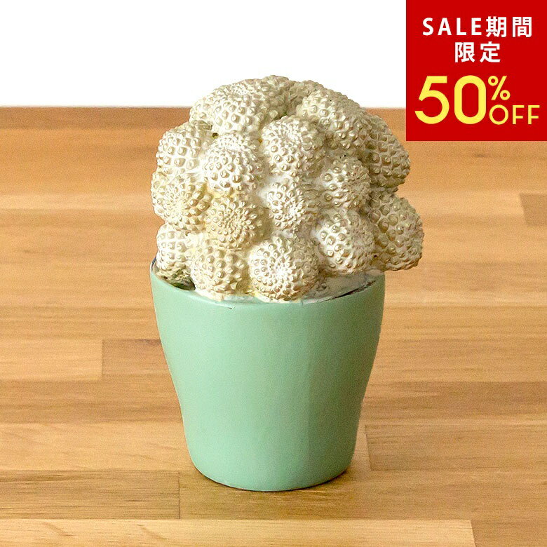 乐天商城 - 【6/3 20:00〜50%クーポン】 多肉植物のアンティーク風オブジェ コピアポア 多肉 多肉植物 サボテン ガドレア アンティーク オブジェ 植物 プランツ フェイクプランツ フェイクグリーン 西海岸スタイル 西海岸インテリア ビーチハウス[64801]