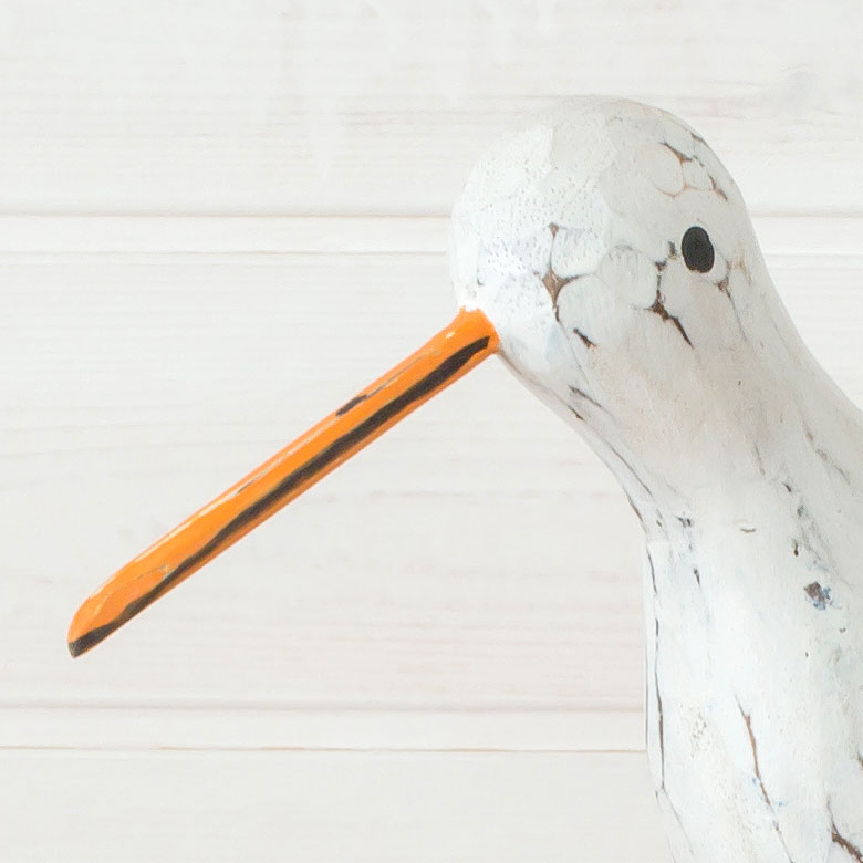 ����� ��ʪ Ļ ���֥��� ���� ��Ħ�� ���襤�� ưʪ �֤�ʪ ������� ����ƥꥢ ���� ���� Ħ�� ����ƥ�����Ĵ ���˥ޥ륪�֥��� �С��ɥ��֥��� ���� ��ӥ� �̲� �������� ����ƥꥢ �ޥ�� �ӡ��� �ʥ����� ���� �� �� �������� �ϥ�ɥᥤ�� ŷ���� [12200]