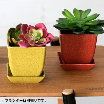 植木鉢用 受け皿 エコプレート 鉢皿 2号 角形 底面直径 約6cm 高さ約6cm 選べる4色 [98705-avo 98705-cor 98705-har 98705-trq]【 ソーサー 浅皿 ポットソーサー 四角形 ガーデニング 園芸 花 観葉植物 ベランダ おしゃれ 】