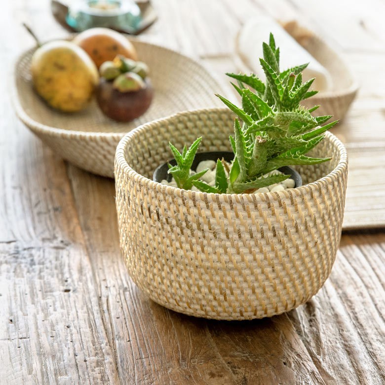 �ں���500�ߥ����ݥ�� �ץ�󥿡����С� �饿���� �ۥ磻�ȥ����å��� �ݷ� ��15.5��15.5cm ����10cm ȭ���С� ����ȭ���С� �ץ��ĥ��С� �����ץ�󥿡� �����ݥå� ���տ�ʪ ���꡼�� ����� ������ ����ץ� BOHO �ϥ磻����[13466]