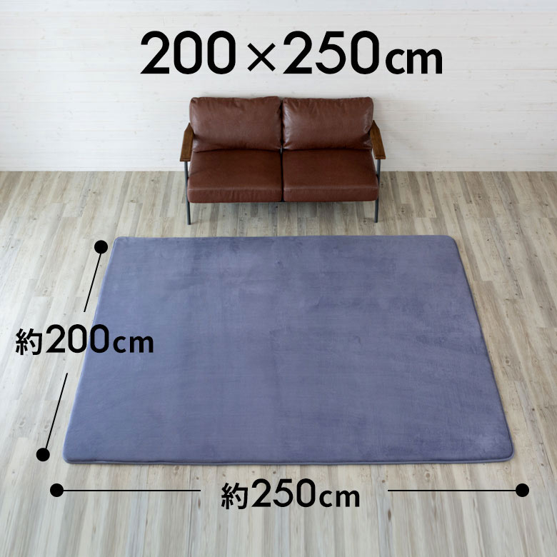 ラグマット 低反発 マイクロファイバー ラグ 200cm×250cm 北欧 CARPET リビング 低反発カーペット ラグカーペット 長方形 極厚 低反発ウレタン 200×250 3畳 大きめ 防音カーペット 防音 滑り止め 絨毯 じゅうたん 赤ちゃん らぐ かーぺっと おしゃれ モフィネ フランネル