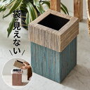 ゴミ箱 ダストボックス おしゃれ 蓋 ふた フタ 付き ウォーターヒヤシンス ブルー ピンク 約 W 20.5cm D 20.5cm H 30cm ごみ箱 四角 スクエア 正方形 リビング キッチン 寝室 バス 洗面所 北欧…