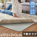 下敷きラグ ラグ 下敷き ウレタン 200x250cm 対応 約 W 192cm D 242cm H 1cm 滑り止め付き クッション性 洗える 手洗い 防音 転倒 対策 遮音 衝撃吸収 保温 床暖房 ホットカーペット 可 ラグマット ラグパッド ラグパット おしゃれ 北欧 雑貨 インテリア 西海岸 70204