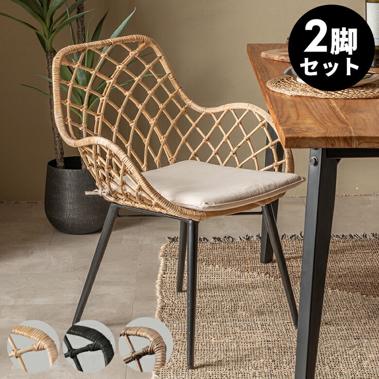 アームチェア BALERINA ラタンチェアー メッシュデザインAタイプ ラタン製 スチール脚 肘掛け 取り外しクッション 座面高39cm 2脚セット 椅子 ダイニングチェア 肘付椅子 ラタン家具 籐椅子 籐 西海岸 リゾート おしゃれ [set-13850-mt]