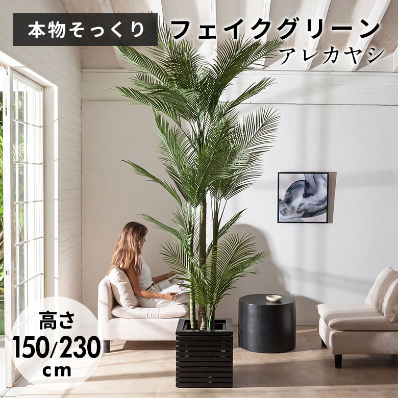 楽天市場】パームツリー 木の通販