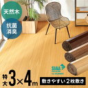 【最大800円オフクーポン配布中!】 天然木 軽量ウッドカーペット 特大サイズ 約300×400cm TU-90シリーズ 2梱包タイプ 低ホルマリン 抗菌加工 ...