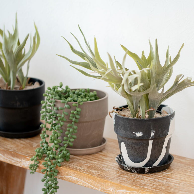 ����ȭ �ץ��ĥݥå� 4��ȭ �ץ饹���å� �ޡ��֥����� �������դ� �ץ�󥿡� ľ��13.5cm 4�� ���������� ȭ���С� �ץ�󥿡����С� �����ǥ˥� ��� �� ���տ�ʪ �٥��� ������� �֥�å� �������� �֥롼 ���꡼�� ��ꤢ�� [90306]