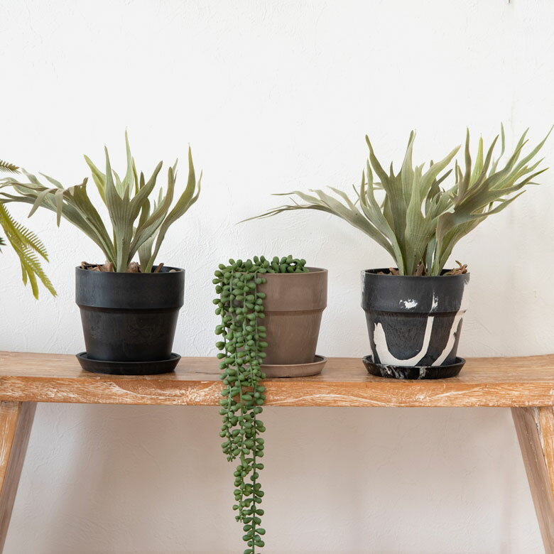 ����ȭ �ץ��ĥݥå� 4��ȭ �ץ饹���å� ̵�� �������դ� �ץ�󥿡� ľ��13.5cm 4�� ȭ���С� �ץ�󥿡����С� �����ǥ˥� ��� �� ���տ�ʪ �٥��� ������� �֥�å� �����ܥ꡼ �ۥ磻�� �֥饦�� �ԥ� �������� �֥롼 ��ꤢ�� [90308]