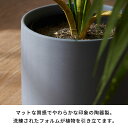 植木鉢 陶器 マット 5号鉢 受皿 底穴あり 中型 Mサイズ 約 W 15cm D 15cm H 14.5cm ブラック ブルー アイボリー 鉢カバー プランターポット 植木鉢カバー プランターカバー 店舗用 おしゃれ カフェ 北欧 観葉植物 花 多肉植物 インテリア 雑貨 西海岸 [94030] 3