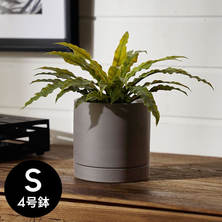 楽天市場】陶器 鉢カバー（カラーグレー）（植木鉢・プランターカバー