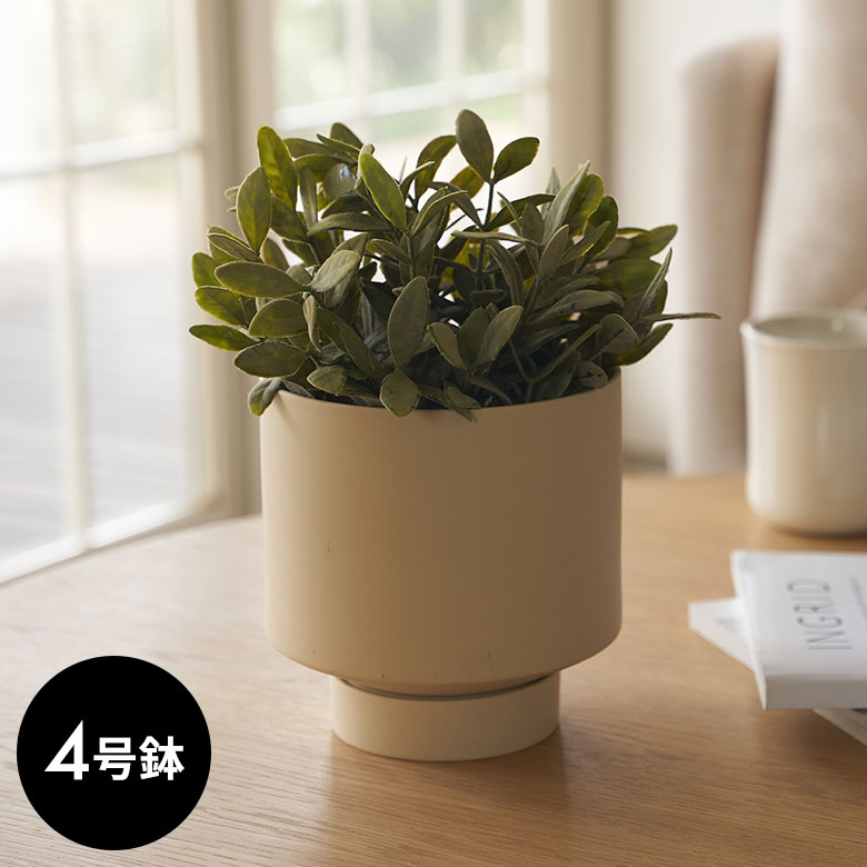 楽天市場】陶器 鉢カバー（カラーホワイト）（植木鉢・プランター