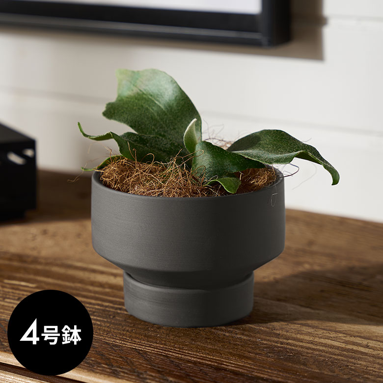 楽天市場】陶器 鉢カバー（カラーグレー）（植木鉢・プランターカバー
