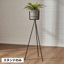 【マラソン期間限定!最大800円オフクーポン!】 プランタースタンド スタンド フォーク型 アイアン 鉄 直径 25cm 高さ 60cm ブラック 植木鉢スタン...