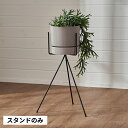 【マラソン期間限定!最大800円オフクーポン!】 プランタースタンド スタンド フォーク型 アイアン 鉄 直径 32cm 高さ 50cm ブラック 植木鉢スタン...