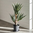 フェイクグリーン アガベ 約 W 28cm D 28cm H 58cm 観葉植物 グリーン 高さ32cm リュウゼツラン フェイクプランツ ポット付き 造花 ア...