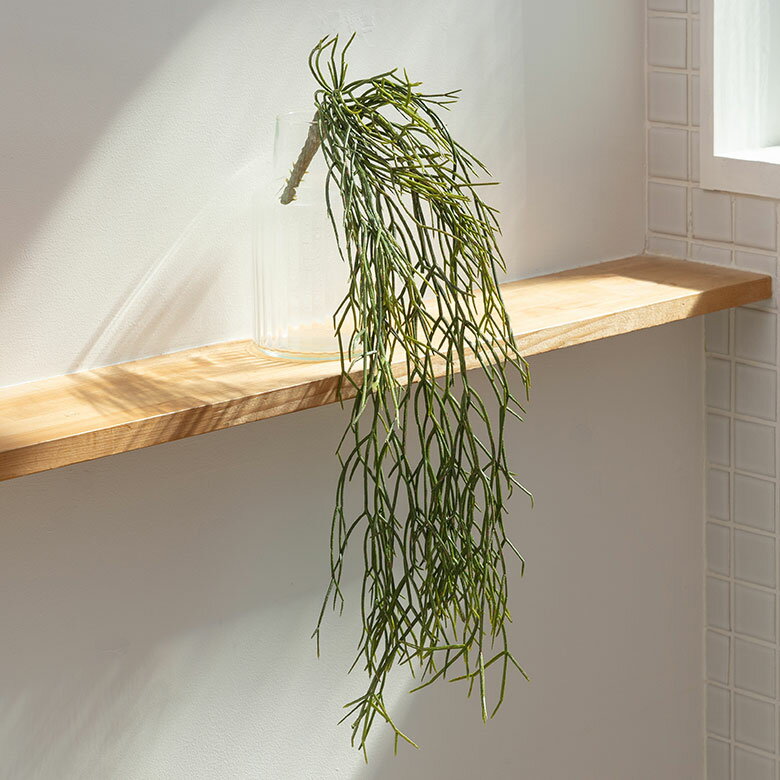 【最大2000円クーポン】 フェイクグリーン リプサリス 高さ 60cm 観葉植物 グリーン フラワー 花 アーティフィシャルプランツ フェイクプランツ 植物 ...