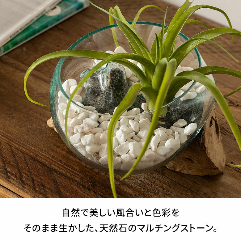 �ޥ���󥰥��ȡ��� ŷ���� 600g ������ ������ �ۥ磻�� �֥�å� ������� ��å� ���С����ȡ��� ȭ�ڱ��� ���顼���ȡ��� ��ʪ ���꡼�� �ե� �� �ǥ��졼����� �ǥ����ץ쥤 ���֥��� ��ӥ� ���� �꥾���� ������� �̲� ����ƥꥢ ���� ������ [94769]