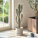 フェイクグリーン サボテン 観葉植物 柱サボテン 大きい W12.5×D12.5×H71cm 人工 観葉 植物 フェイク おしゃれ グリーン 鉢植え 人工観葉植...