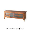 ローボード 幅120 奥行40 高さ45cm 収納家具 リビング収納家具 テレビ台 ローボード(3)