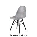 シュタイン チェア 天然木 スチール 幅46 奥行55 高さ81 座面高45cm イス チェア 椅子 いす チェアー