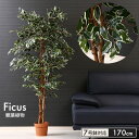 在庫処分セール/観葉植物 人工 フェイクグリーン フィカス 高さ 170cm 7号鉢対応 人工 造花 フェイク グリーン シンプル オフィス おしゃれ 観葉 植...