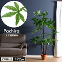 在庫処分セール/観葉植物 人工 フェイクグリーン パキラ スタンダード 高さ 172cm 7号鉢対応 人工 造花 フェイク グリーン シンプル オ..