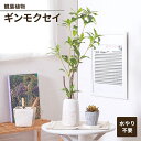 【値下げSALE】フェイクグリーン 観葉植物 人工観葉植物 ギンモクセイ セラミックポット 卓上 インテリアガーデン 手入れ不要 おしゃれ 人工植物