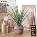 【値下げSALE】人工観葉植物 フェイクグリーン 観葉植物 アロエ M セメントポット 卓上 インテリアガーデン 手入れ不要 おしゃれ 人工植物
