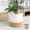 【楽天スーパーSALE10%OFF】鉢カバー コットン ガマ おしゃれ 10号対応 観葉植物 植木鉢カバー インテリア ナチュラル 雑貨 軽い 小物入れ かご