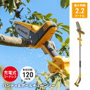 【ポイント5倍 08/22 12:00-09/05 09:59】高枝チェーンソー 1.6〜2.2m 2段式 無段階伸縮 18V 充電式 コードレス 高枝切り チ...