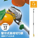 【楽天スーパーSALE10%OFF】高枝切りバサミ 1.8〜3m 2段式 13段伸縮 高枝切り はさみ キャッチ機能 アンビル刃 薄刃 刃交換可 枝切り 果実採...
