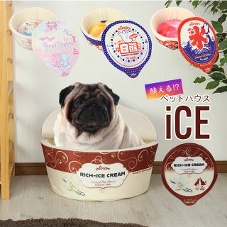 おもしろいペットベッド10選 どん兵衛やカップ麺も トリマーのオススメ はなげんきの犬小屋 おもしろいペットベッド10選 どん兵衛やカップ麺も トリマーのオススメ はなげんきの犬小屋