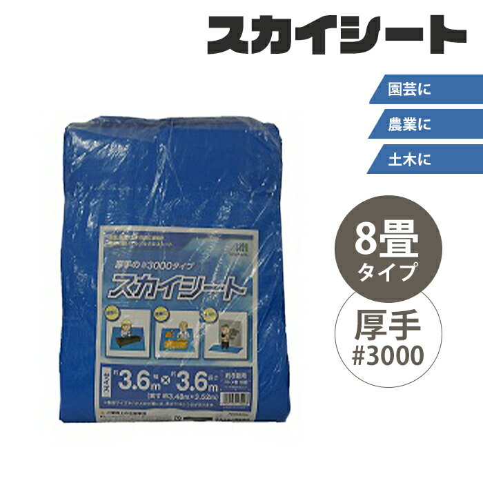 【ポイント5倍 11/21 10:00-12/05 09:59】レジャーシート 8畳 敷物 スカイシート カバー 保護 雨除け ..
