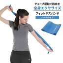 フィットネスバンド ストレッチバンド ゴムバンド ゴムチューブ 筋トレ ダイエット ストレッチ ヨガ トレーニング 自宅 運動