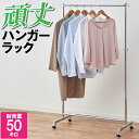 ハンガーラック 頑丈 スリム 耐荷重50kg シングル 物干し 室内 洗濯 乾かす 自然乾燥 洋服 服 かける 吊るす シルバー 収納 常に使うもの