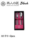 カラトリー 2本 セット コーヒースプーン ヒメフォーク ステンレス おしゃれ 個性的 漆黒 ギフト プレゼント 日本製 燕製品