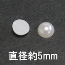 【業務用 300個セット 】 アクリル 半球 パール sgy-643_300p 【直径 5mm】【アイボリー 色】【メール便配送】(手芸 手芸用品 手芸材料 パ...